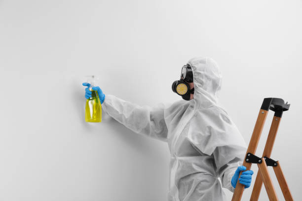 Best Mold Prevention Services  in Rockwell, NC